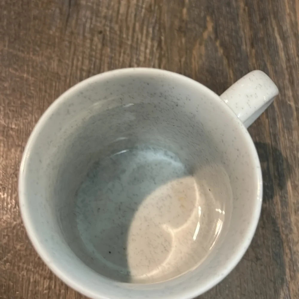 The Legend of Sand‎ Dollar Coffee Tea Mug Cup Vintage Nice Condition! Made Japan